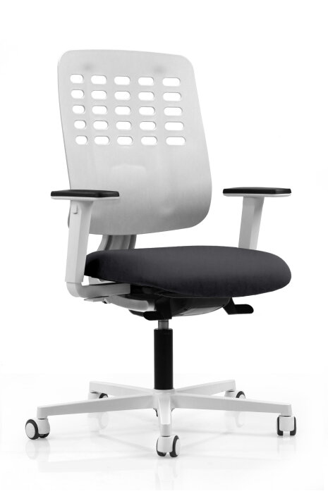 Chaises Ergo Premium - © Bluedigo
