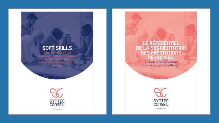 Segmentation et soft skills : deux boîtes à outil pour factualiser les achats de conseil