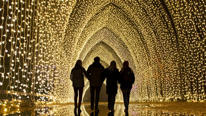 Les Sentiers Lumineux au Parc Floral de Paris, un voyage enchanteresse entre lumière et nature - © Les Sentiers Lumineux