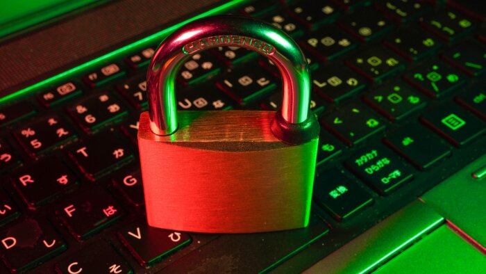 La cybersécurité et le nearshoring, deux sujets essentiels pour les décideurs supply chain