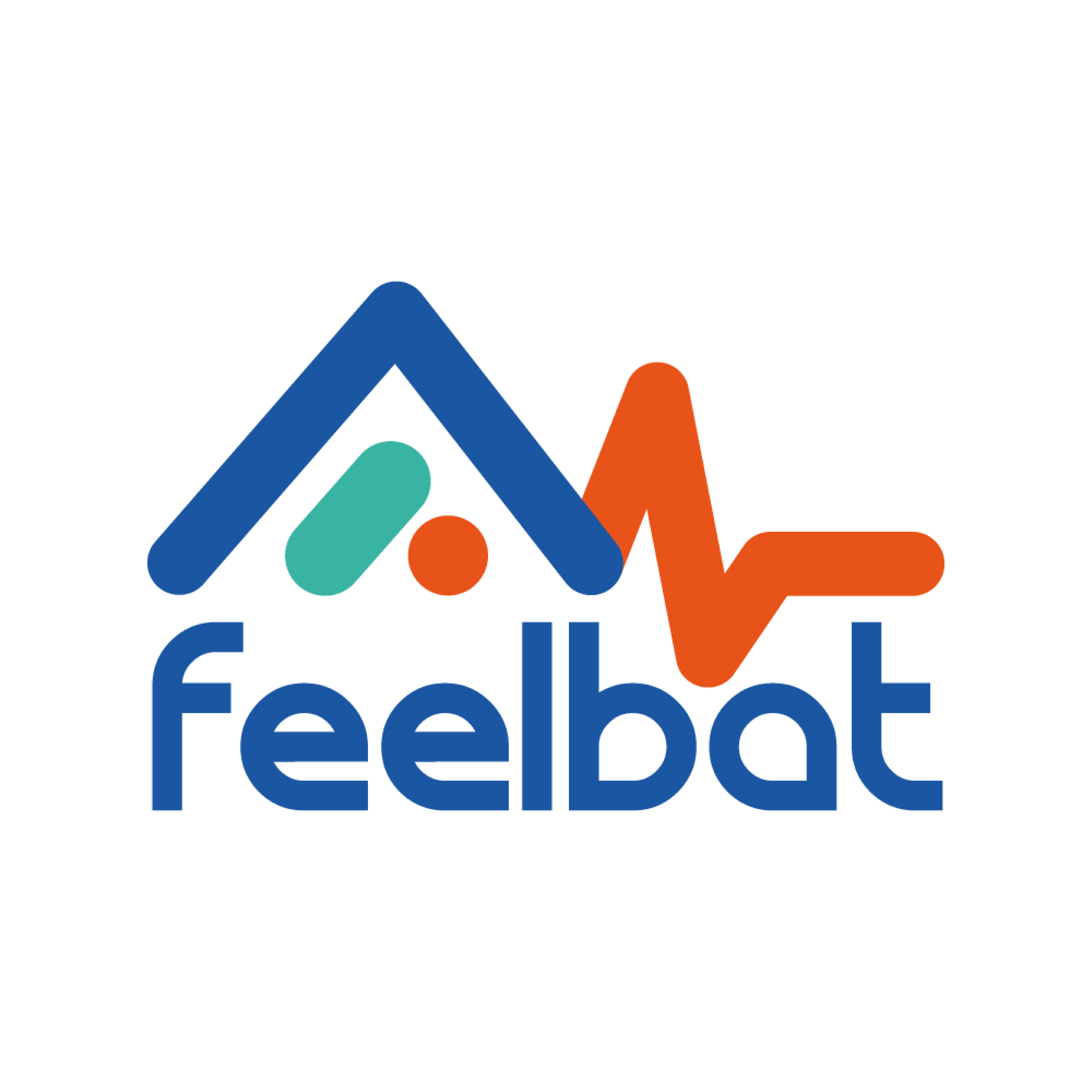 Logo FEELBAT  - © FEELBAT