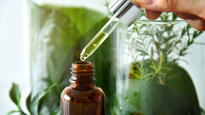 L’Oréal à fond sur les sciences vertes et les réseaux sociaux