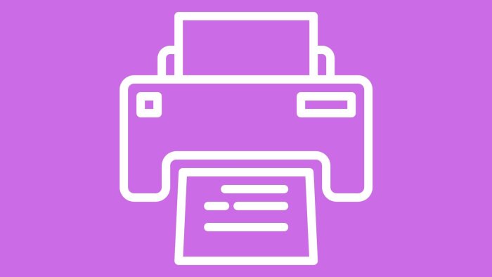 Chaumeil, Esat : Une gestion déléguée de l’impression avec le STPA