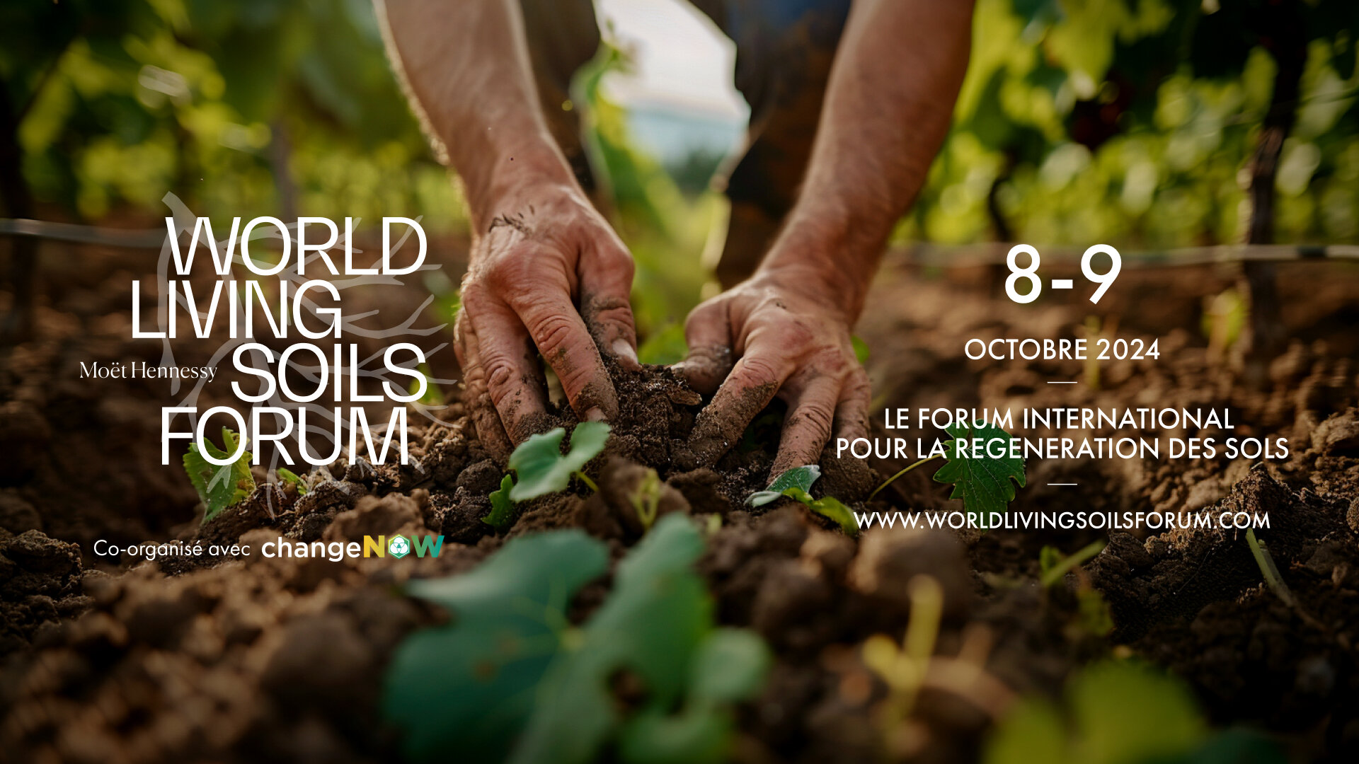 WLSF - © Moët Hennessy