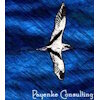 Payenke - © Payenke