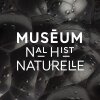 Muséum National d’histoire naturelle - © Muséum National d’histoire naturelle