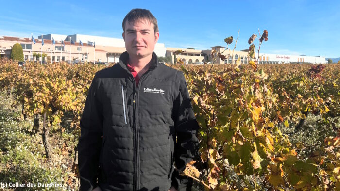Cédric José est DSI de l’Union des Vignerons des Côtes du Rhône (UVCDR) / Cellier des Dauphins. - © Cellier des Dauphins