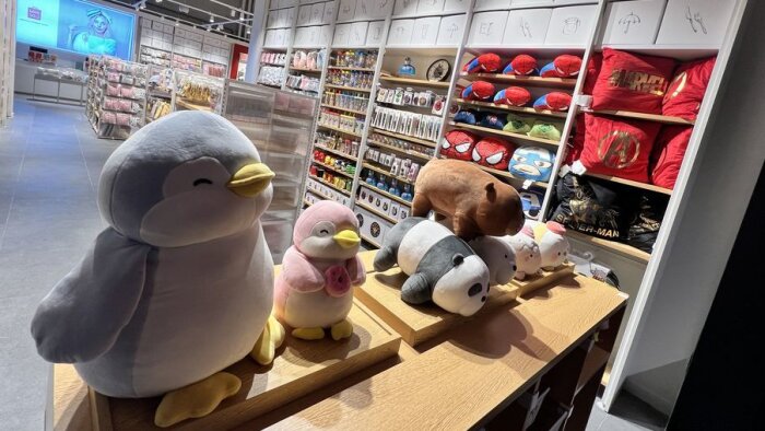 Ariel Wizman (Miniso) : « Nous aurons 25 magasins d’ici la fin de l’année »