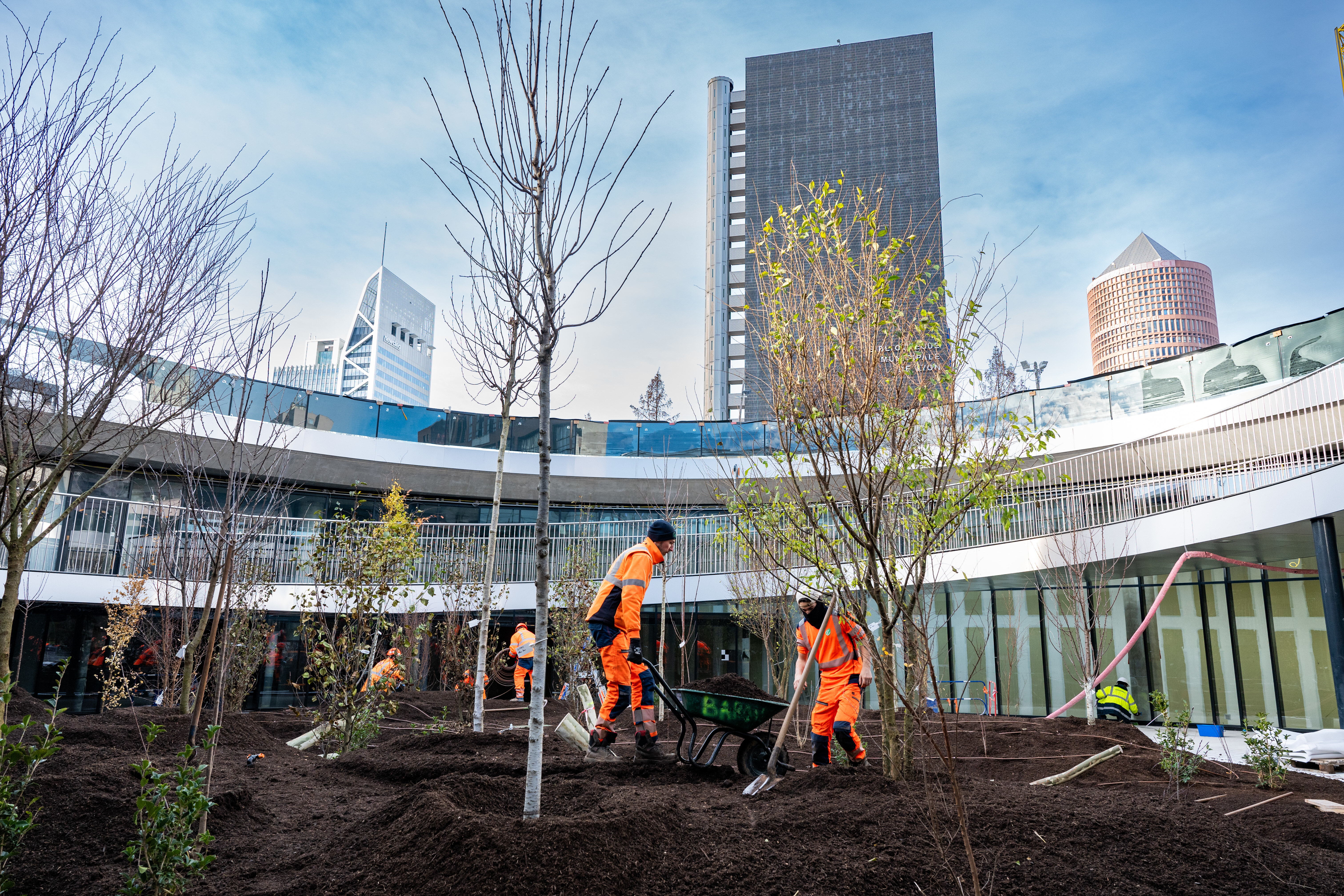 Plantation place basse - © Laurence Danière