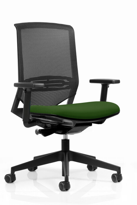 Chaises Ergo Plus - © Bluedigo