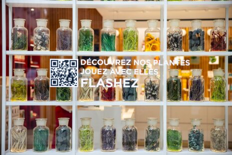 Herbier en vitrine. - © Clarins / Olivier Loser