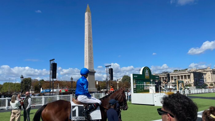 France Galop réussit sa mue en faisant entrer les courses dans l’ère du sportainment