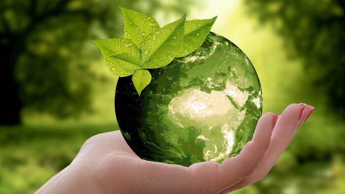 58 % des enseignes proposent de la vente de produits d’occasion ou reconditionnés. - © Annca / Pixabay