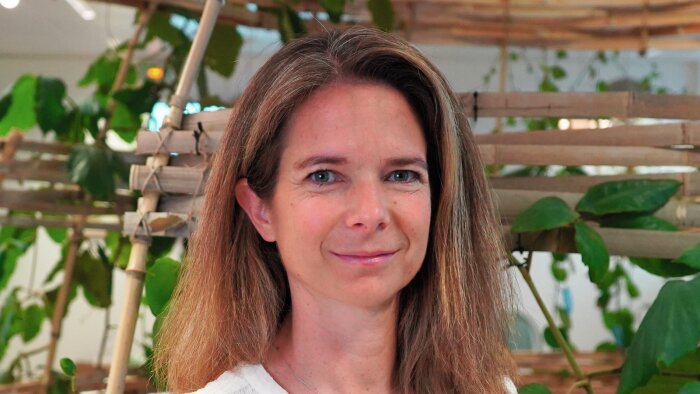 Céline Damour nouvelle directrice marque internationale d’Yves Rocher