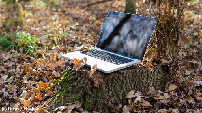 Concilier informatique et respect de l’environnement, une gageure ? - © Lukas / Pixabay