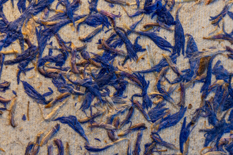 Matériaux biosourcés et éco-conçus dans les bureaux de Yemanja - © Jonathan Moyal