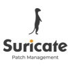 Suricate - © Suricate