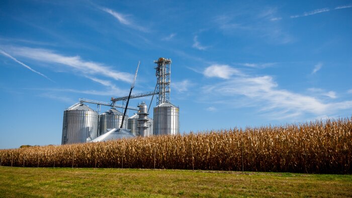 Inflation record et durable sur l’énergie et les produits alimentaires