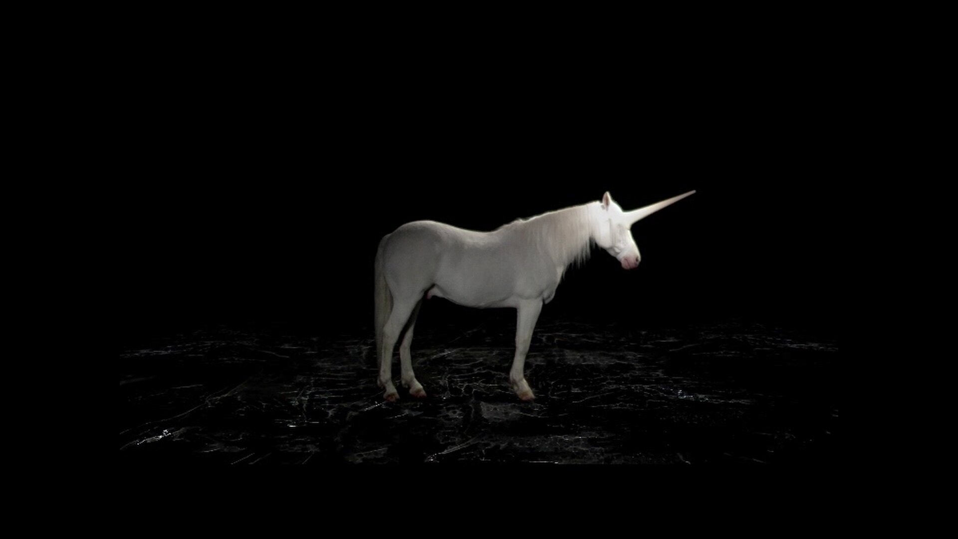 Licorne, vidéo-projection de Maïder Fortuné présentée sous le tunnel Henri - © Ville de Paris