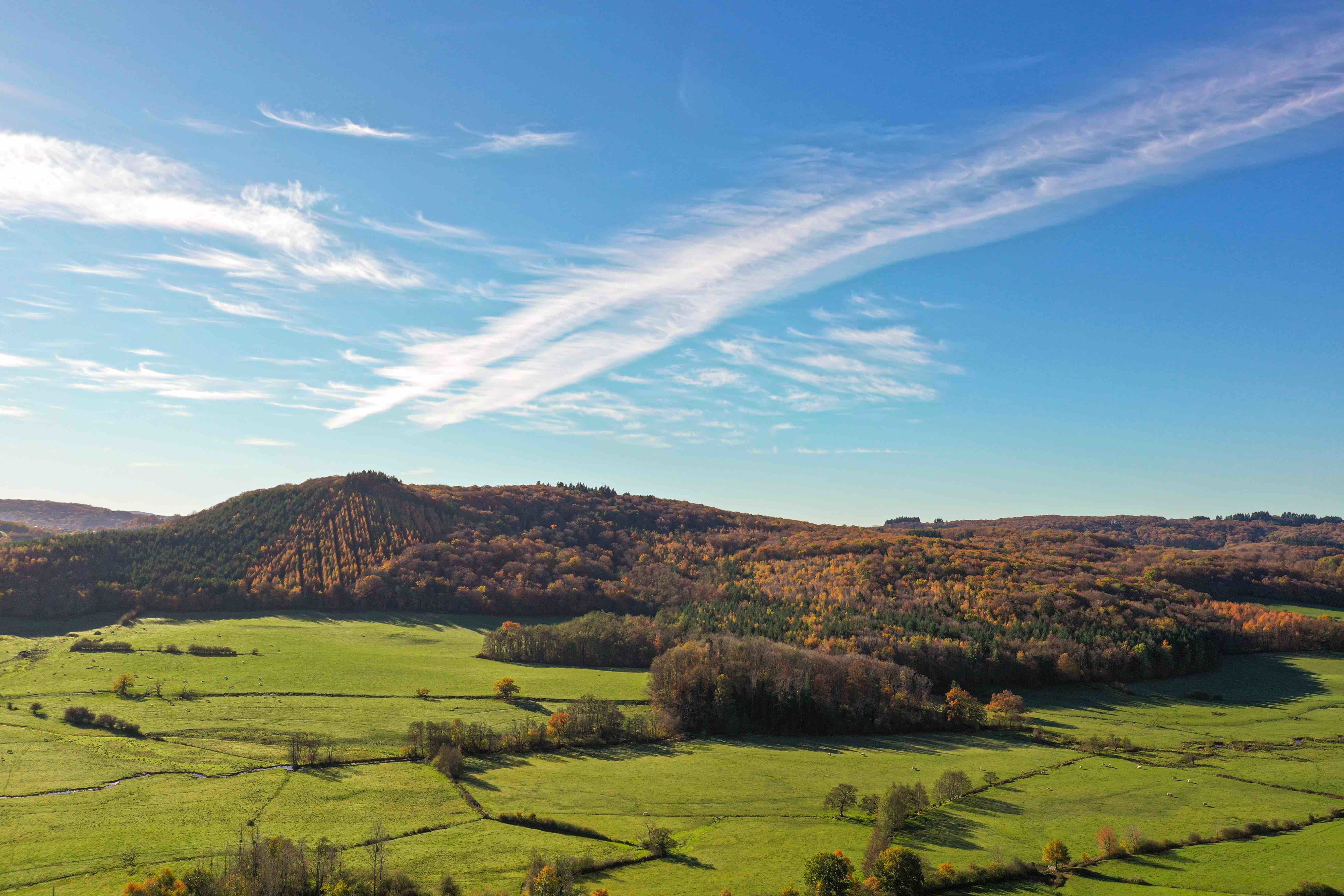 La forêt du Morvan, un terrain de jeu inédit pour des respirations et des incentives - © Pierre Demaillet