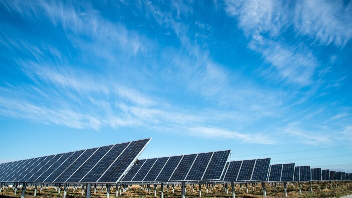 Le groupement Les Mousquetaires développe un actif de sources d’énergie renouvelable