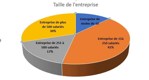 Répartition par taille des entreprises - © Delphine Minchella & Gisèle De Campos Ribeiro