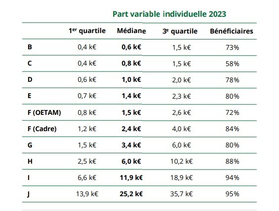 Part variable individuelle en 2023 - © Deloitte
