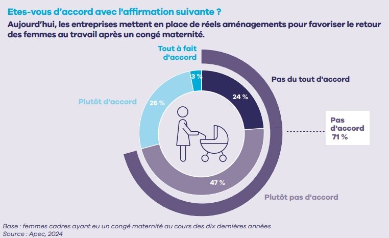 Points de vue sur les aménagements prévus par les entreprises - © Apec