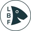 Little Big Fish - © Little Big Fish